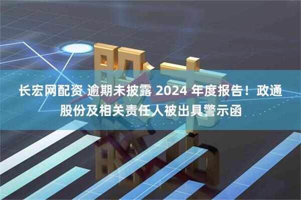 长宏网配资 逾期未披露 2024 年度报告！政通股份及相关责任人被出具警示函