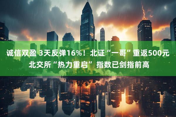 诚信双盈 3天反弹16%！北证“一哥”重返500元 北交所“热力重启” 指数已剑指前高
