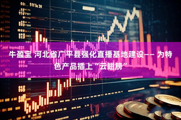 牛盈宝 河北省广平县强化直播基地建设—— 为特色产品插上“云翅膀”