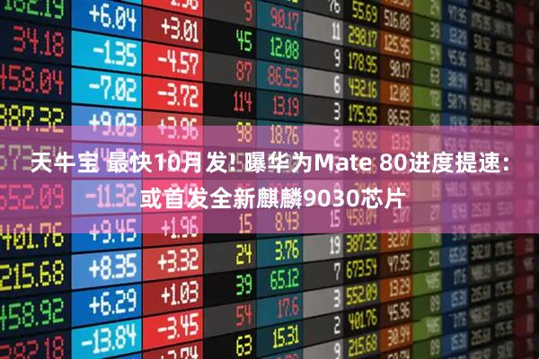 天牛宝 最快10月发! 曝华为Mate 80进度提速: 或首发全新麒麟9030芯片