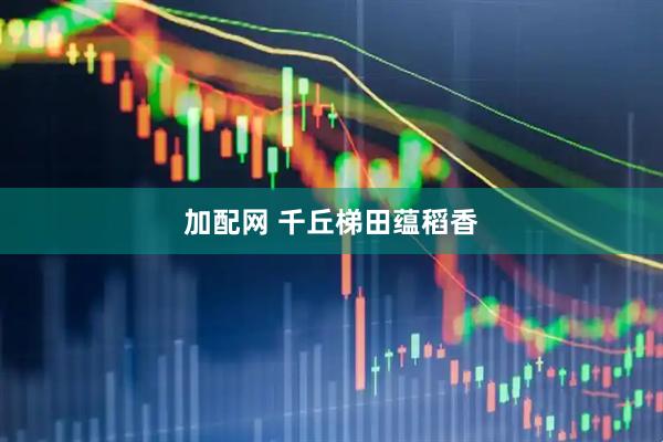加配网 千丘梯田蕴稻香