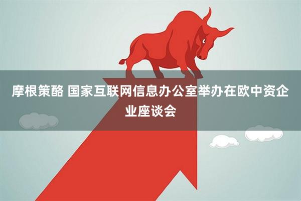摩根策酪 国家互联网信息办公室举办在欧中资企业座谈会